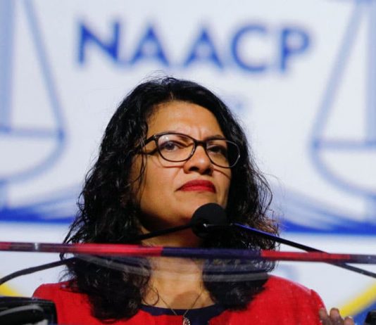 Rashida Tlaib Under Investigation for Federal Crime