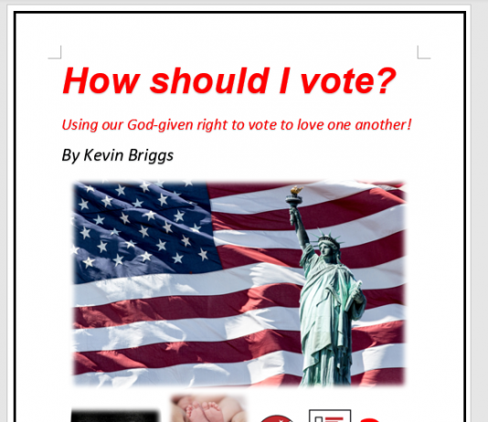 HOW SHOULD I VOTE?