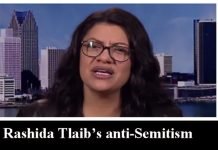 Rashida Tlaib’s anti-Semitism strikes a nerve with Michigan Dems exhausted over her antics