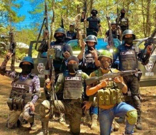 Cartel Gunmen Dump Nine Bodies in Central Mexico, Points to New Turf War