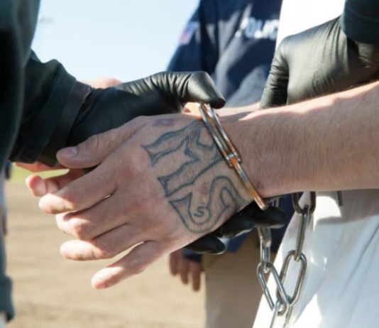 Why is the White House importing gang crime to the U.S.?